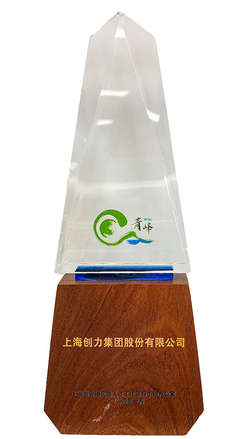 喜報！上海創力集團榮獲2023年度青浦區百強優秀企業等三項大獎(圖3)